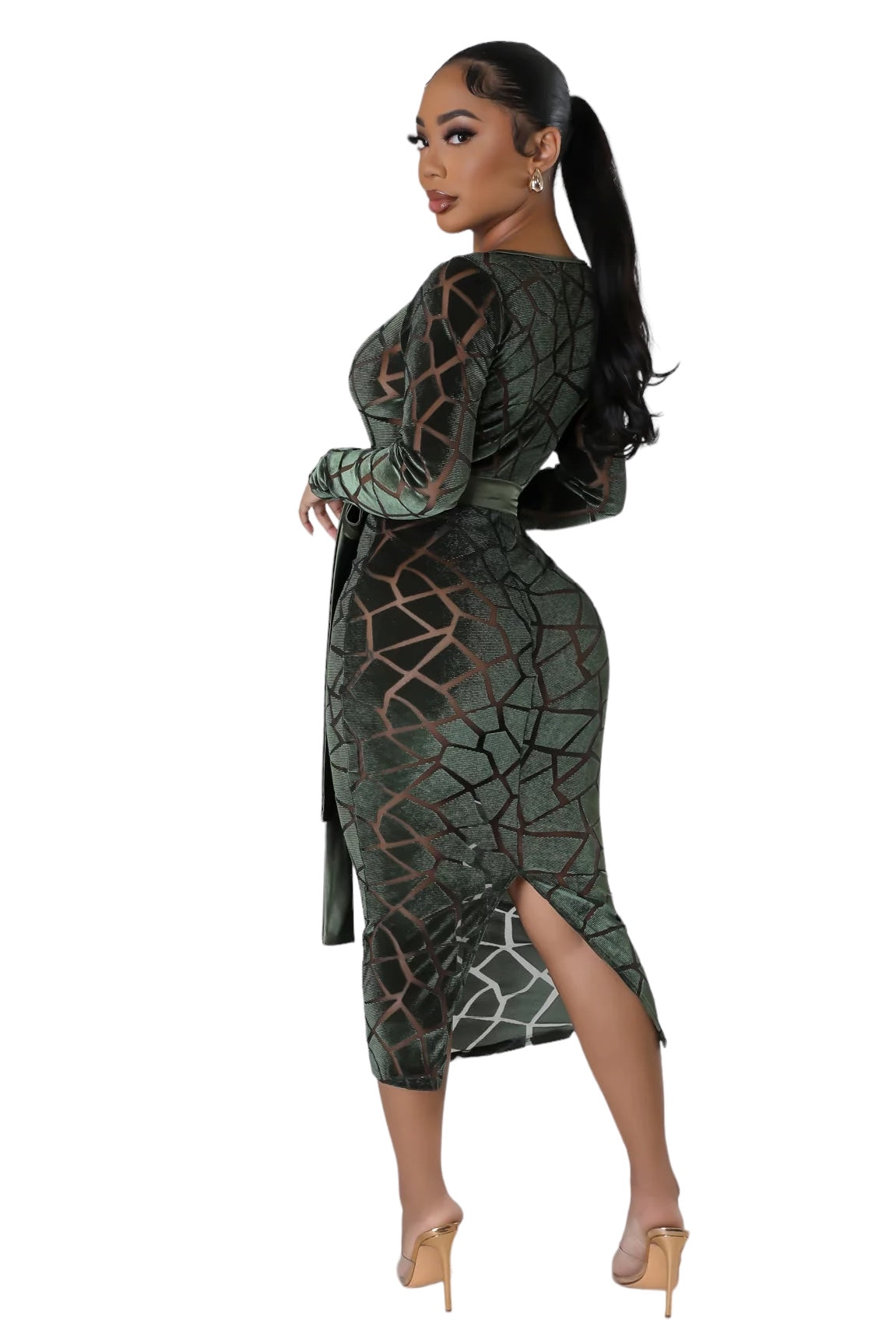 Formal Velvet See Through Belted Midi Dress