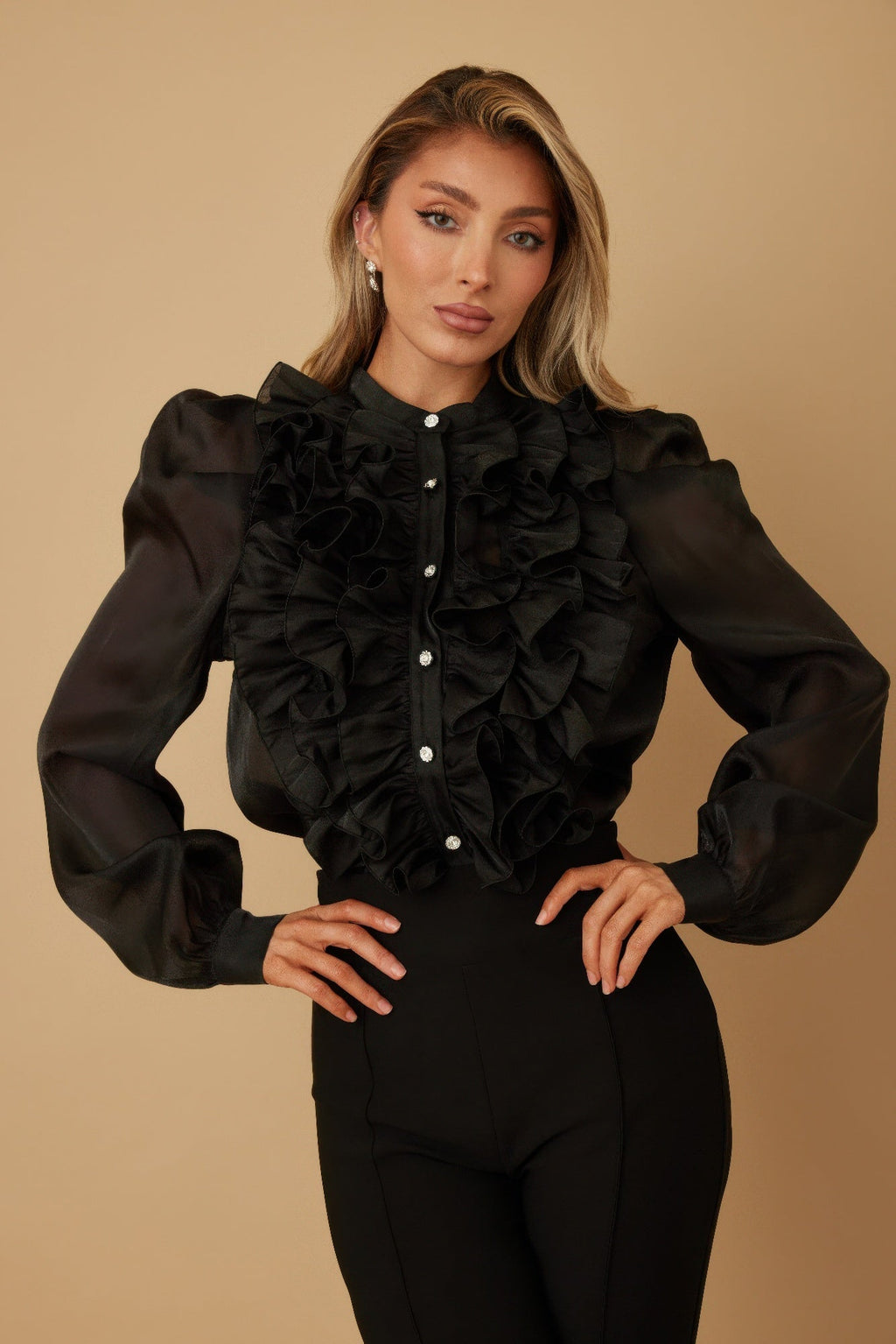 Ace Ruffle Micro Crystal Long Sleeve Blouse