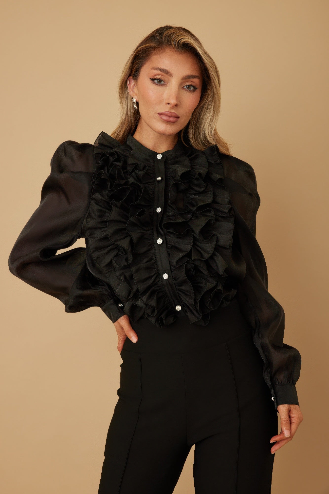 Ace Ruffle Micro Crystal Long Sleeve Blouse