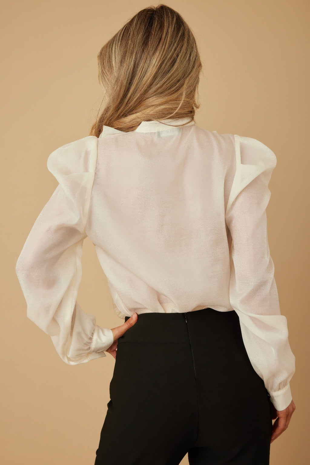 Ace Ruffle Micro Crystal Long Sleeve Blouse