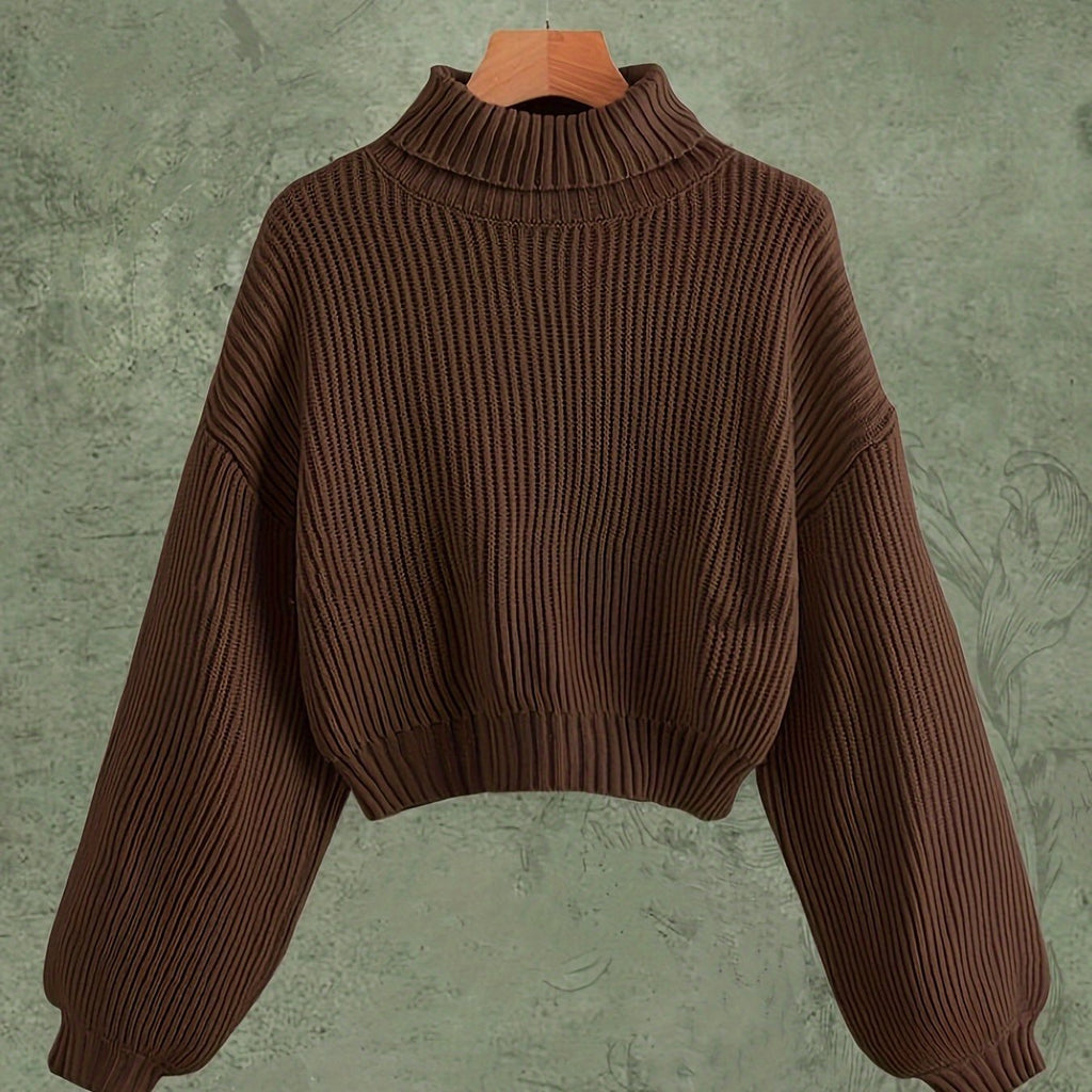 Turtle Neck Elegant Long Sleeve Sweater