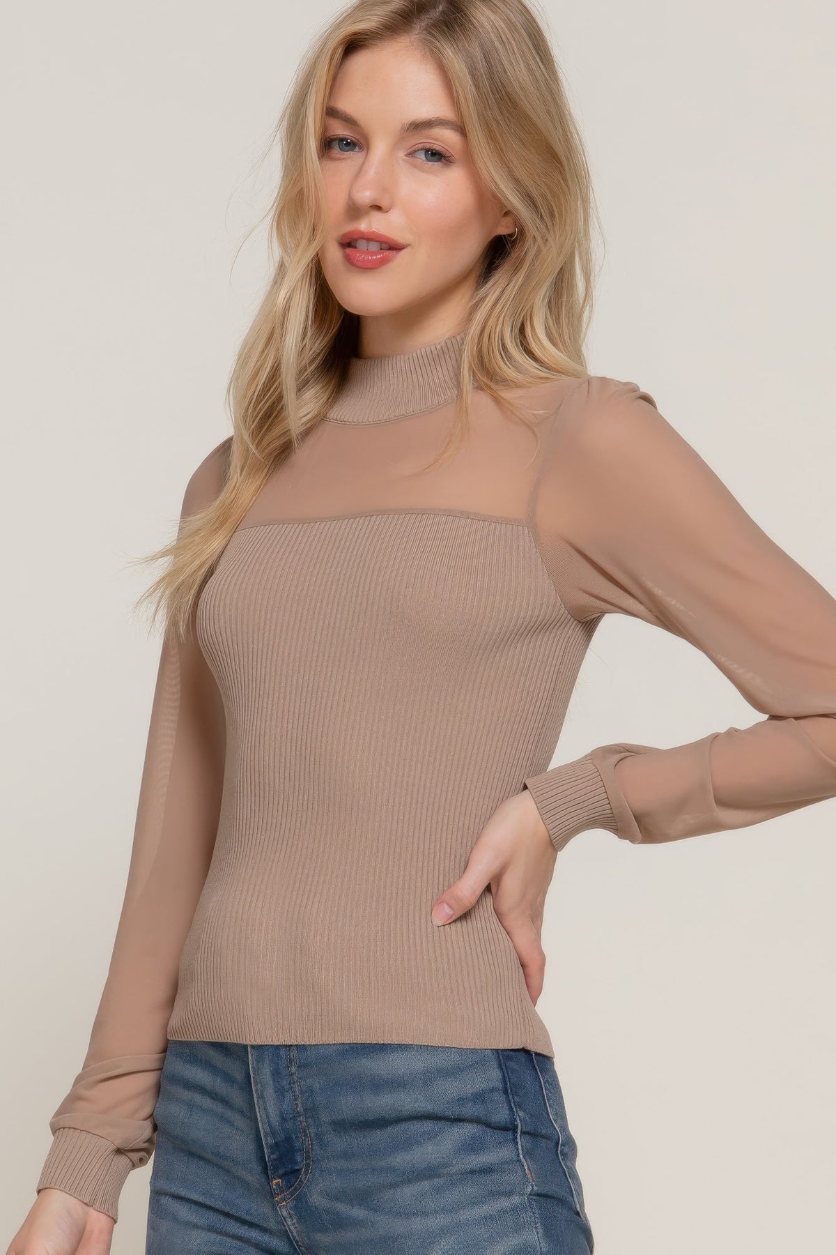 Long Sleve Mesh Panel Detail Sweater Top