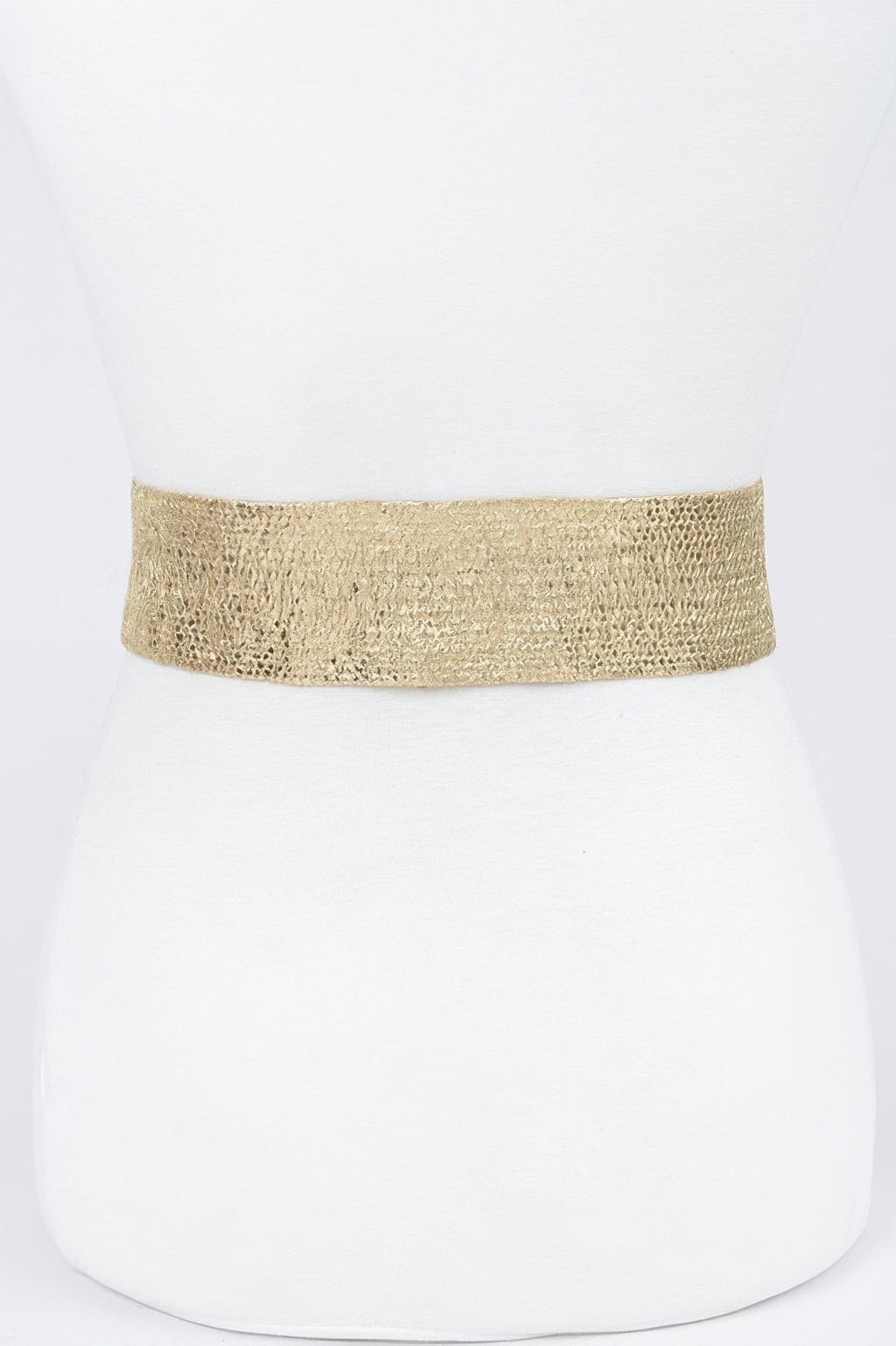 Wide Metal Buckle Plus Size Clear Belt